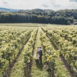 How to Plan a Beautiful Destination Wedding on a Budget